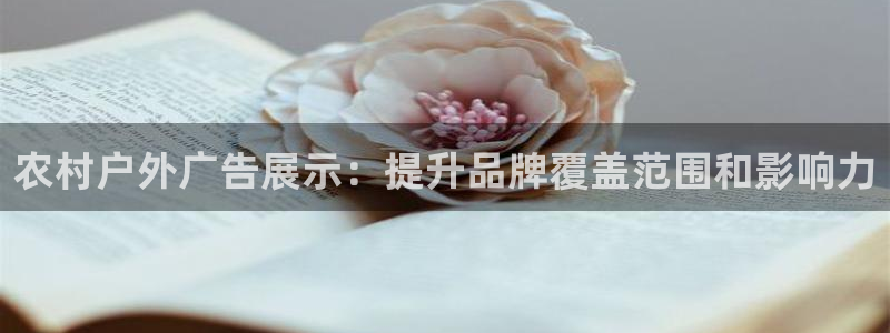 杏宇平台代理多少钱一个
