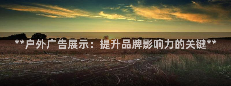 杏宇平台代理怎么样可靠吗：**户外广告展示：提升品牌影响力的关键**