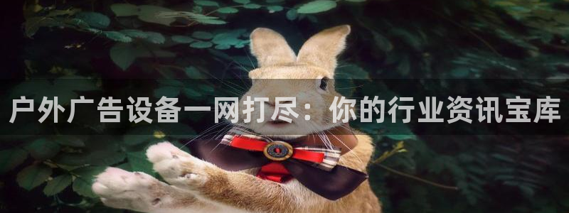 杏宇平台主管