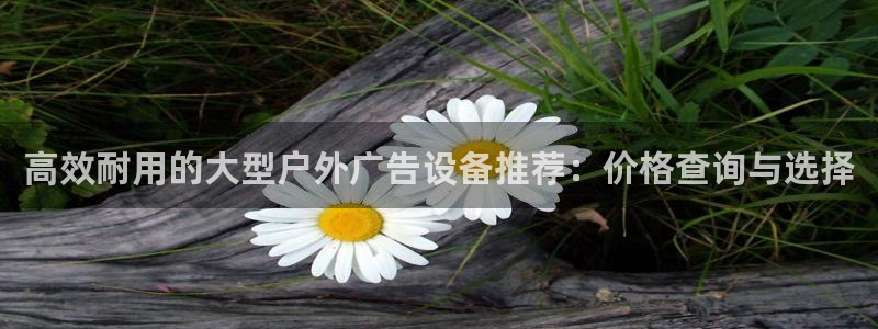 杏宇平台代理多少钱