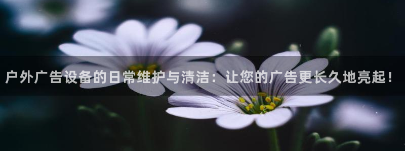杏宇平台代理多少钱一次