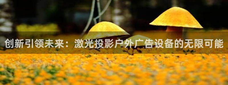杏宇平台登陆：创新引领未来：激光投影户外