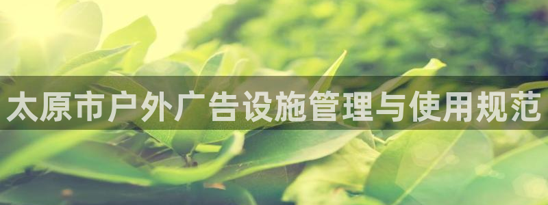 杏宇平台主管：太原市户外广告设施管理与使用规范