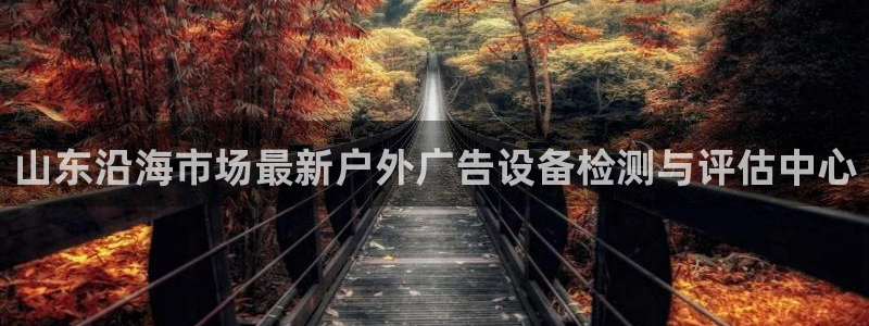 杏宇平台主管：山东沿海市场最新户外广告设备检测与评估中心