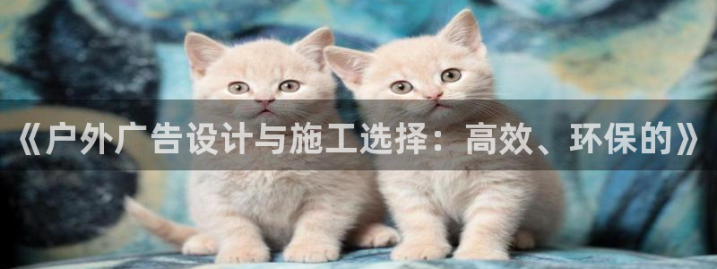杏宇平台代理怎么样可靠吗：《户外广告设计与施工选择：高效、环保的》