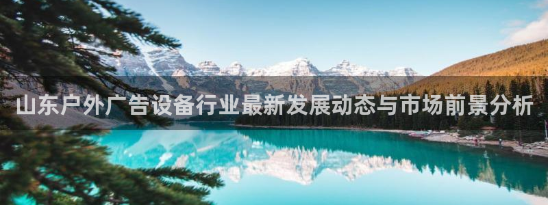 杏宇平台注册地址在哪里：山东户外广告设备行业最新发展动态与市场前景分析