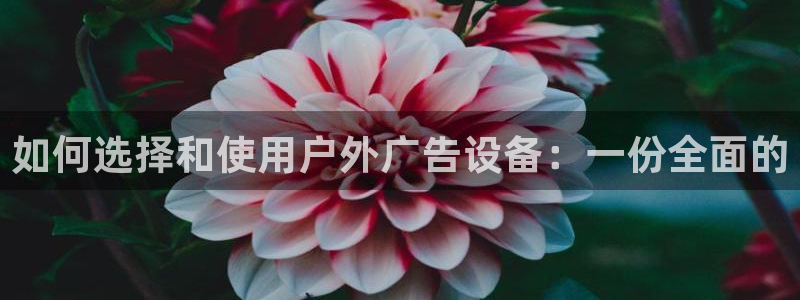 杏宇平台代理怎么样：如何选择和使用户外广