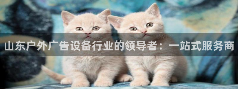 杏宇平台注册地址在哪里：山东户外广告设备行业的领导者：一站式服务商