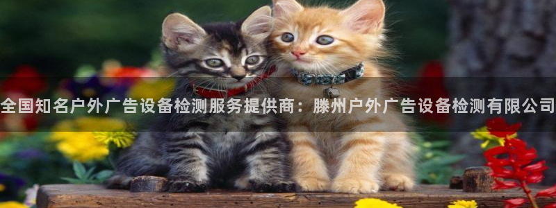 杏宇平台招商：全国知名户外广告设备检测服务提供商：滕州户外广告设备检测有限公司