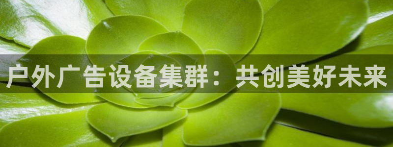 杏宇平台代理多少钱一个月：户外广告设备集群：共创美好未来