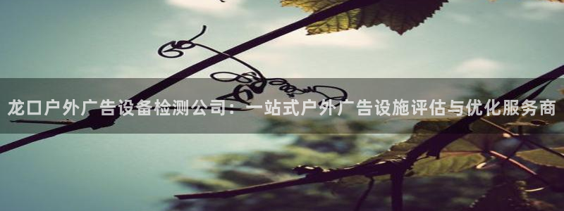 杏宇平台招商：龙口户外广告设备检测公司：一站式户外广告设施评估与优化服务商