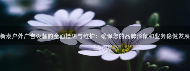 杏宇平台总代理：新泰户外广告设备的全面检测与维护：确保您的品牌形象和业务稳健发展