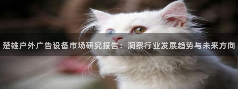 杏宇平台怎么样赚钱：楚雄户外广告设备市场研究报告：洞察行业发展趋势与未来方向