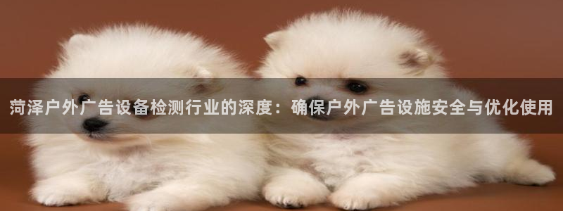 杏宇官方平台官网入口：菏泽户外广告设备检测行业的深度：确保户外广告设施安全与优化使用