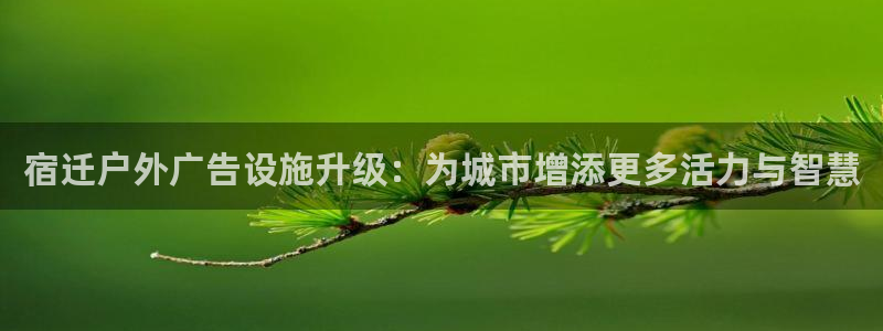 杏宇平台登录方法：宿迁户外广告设施升级：为城市增添更多活力与智慧