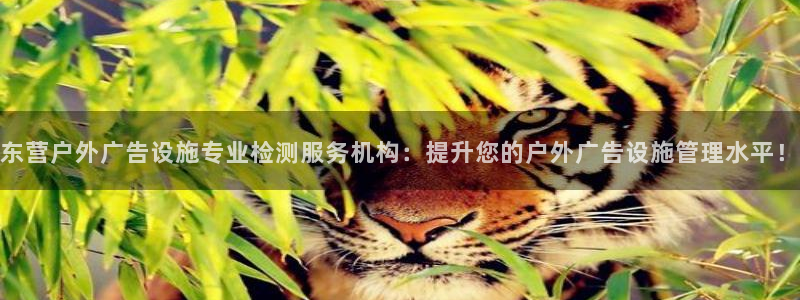 杏宇平台主管：东营户外广告设施专业检测服务机构：提升您的户外广告设施管理水平！