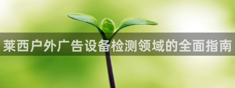 杏宇平台怎么样赚钱：莱西户外广告设备检测领域的全面指南