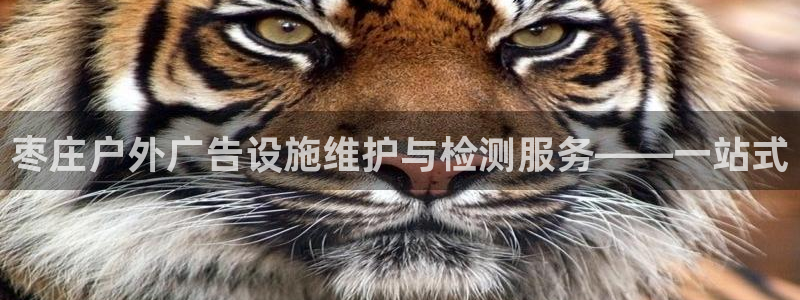 杏宇平台代理怎么赚钱：枣庄户外广告设施维