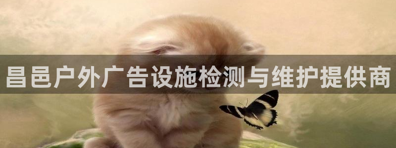 杏宇平台总代理是谁：昌邑户外广告设施检测