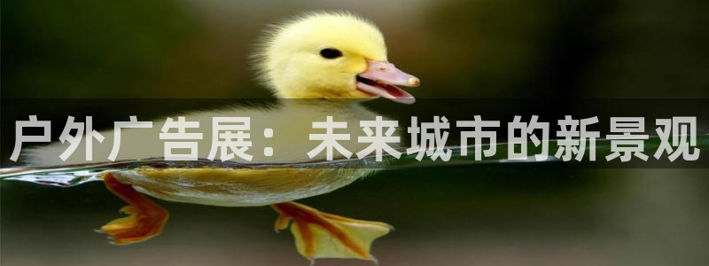 杏宇平台怎么样