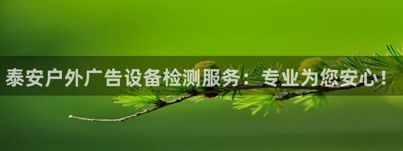 杏宇平台注册登录：泰安户外广告设备检测服