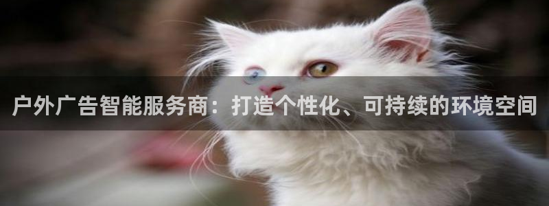 杏宇平台注册地址在哪里：户外广告智能服务商：打造个性化、可持续的环境空间