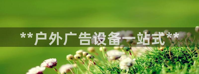 杏宇平台总代理电话