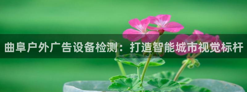 杏宇平台提现为什么这么久呢：曲阜户外广告