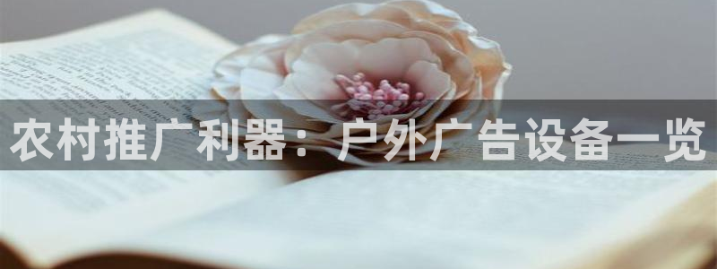 杏宇平台代理怎么样可靠吗